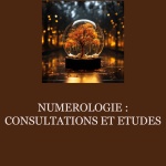 categorie-numerologie-etudes